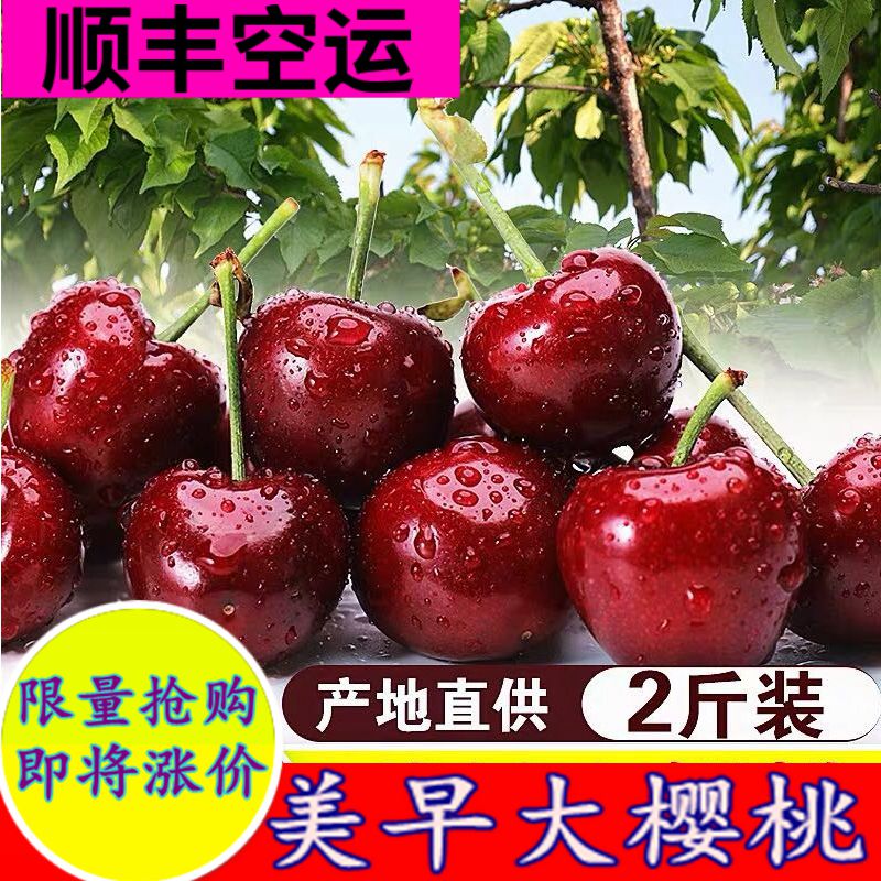顺丰包邮 2斤装大连樱桃 车厘子新鲜水果胜美国黑珍珠双J樱桃现货|msdalam kategori daging perikanan/Buah-buahan segar dan sayur-sayuran/dimasak, buah-buahan segar, ceri/ceri - dari Buy2taobao.com untuk memberikan perkhidmatan ejen Taobao profesional membeli
