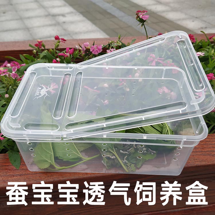 蚕宝宝饲养盒蚕饲料饲养盒方便卫生保温保湿蚕宝不乱爬彩色蚕分类在类目 宠物/宠物食品及用品, 爬虫/鸣虫及其用品, 爬虫/鸣虫用具中 - 来自Buy2taobao.com提供专业的淘宝代购服务