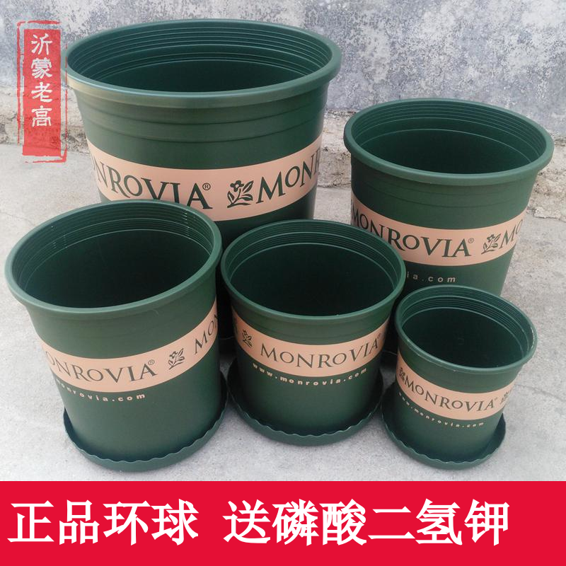正品环球加仑印花盆 阳台月季玫瑰塑料圆形托盘1 2 3 5 7加仑花盆在类目 鲜花速递/花卉仿真/绿植园艺, 花瓶/花器/花盆/花架(新), 花盆中 - 来自Buy2taobao.com提供专业的淘宝代购服务
