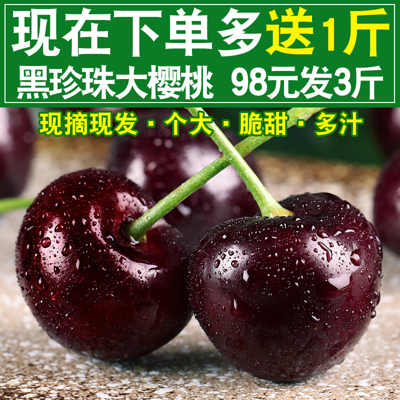 Now pick Now send Yantai Cherry Season Cherry fresh Fruit 5 Shandong Black Pearl Meizao Cherry 3in the Aquatic meat/Fresh fruits and vegetables/Cooked , Fresh fruit , Cherries/Cherry category - from Buy2taobao.com to provide professional Taobao agent buy service