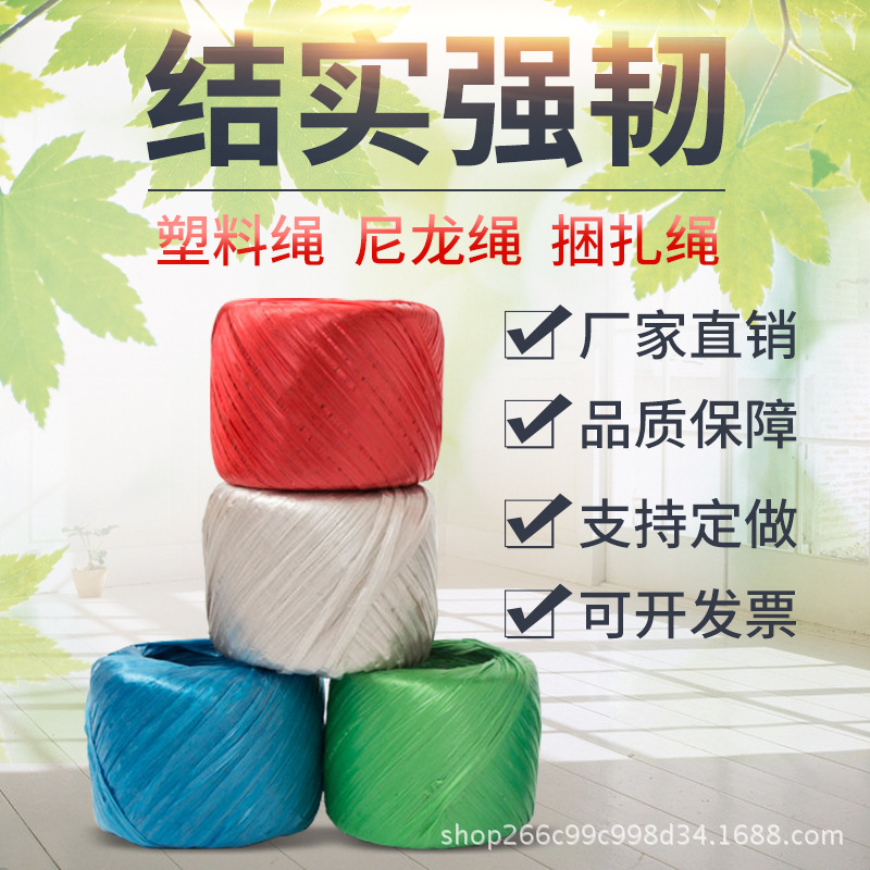 塑料绳玻璃绳家用打包绳彩色塑料捆扎绳工厂用优质pp塑料绳包邮|ruв категории доставка цветов/цветок моделирования/растения садоводства, садовых принадлежностей, играть в веревку и других веревку - от Buy2taobao.com для оказания профессиональной услуги покупки агента Taobao