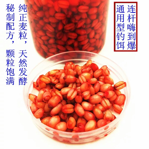 防小魚鬧窩麥子挂鈎顆粒江河湖泊鲫鯉草鳊通殺 味型獨特在類目 戶外/登山/野營/旅行用品, 垂釣裝備, 釣魚比賽/培訓/遊釣/釣魚券, 釣魚券/釣魚套餐中 - 來自Buy2taobao.com提供專業的淘寶代購服務