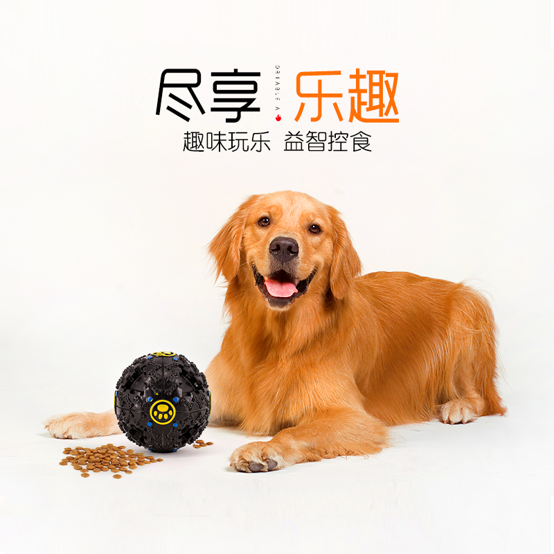 狗狗玩具 漏食球耐咬泰迪金毛漏食怪叫益智磨牙宠物用品发响声球在类目 宠物/宠物食品及用品, 猫/狗玩具, 漏食球中 - 来自Buy2taobao.com提供专业的淘宝代购服务