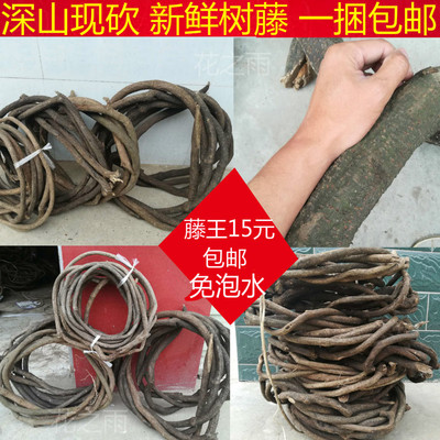 仿真树藤枯藤藤条红山藤藤蔓吊顶婚庆管道葡萄叶树枝干假植物装饰