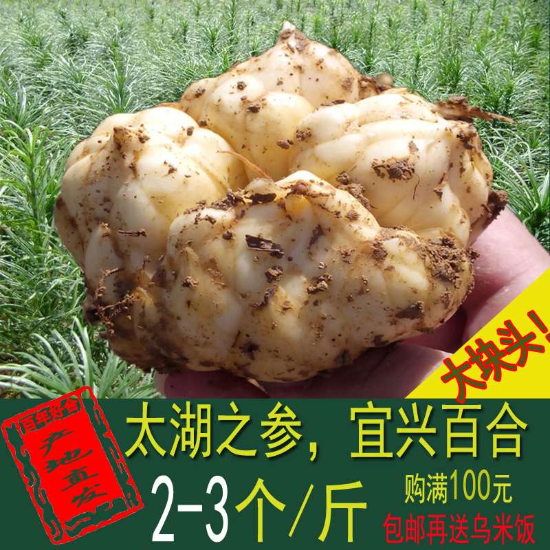 新鲜宜兴食用百合土特产精细出口级非兰州糖百合满5斤送礼盒百合在类目 粮油米面/南北干货/调味品, 南北干货/肉类干货, 干货/土特产, 百合干中 - 来自Buy2taobao.com提供专业的淘宝代购服务