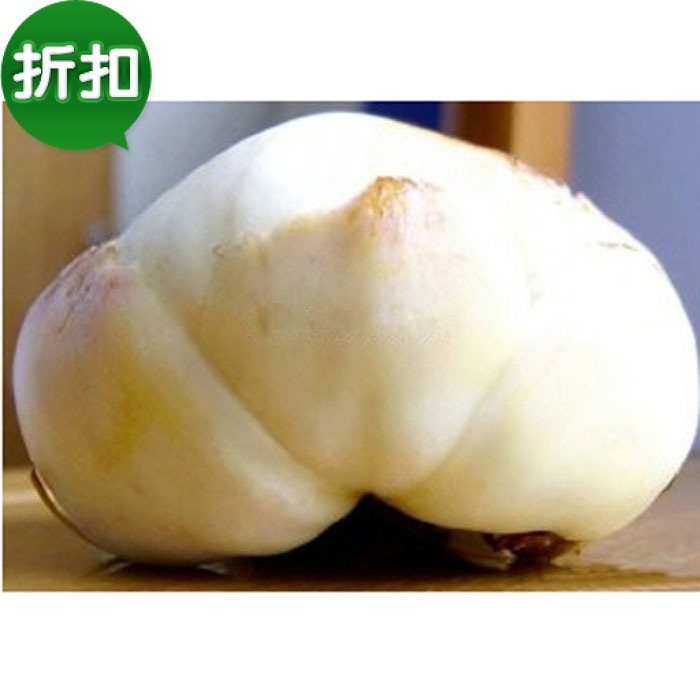 19年现挖宜兴土特产新鲜百合5只左右/斤五斤送礼盒包邮非兰州百合在类目 粮油米面/南北干货/调味品, 南北干货/肉类干货, 干货/土特产, 百合干中 - 来自Buy2taobao.com提供专业的淘宝代购服务