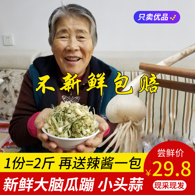 东北特产新鲜小头蒜大脑瓜蹦小根蒜大脑瓜菜辣拌野山蒜薤白野葱在类目 水产肉类/新鲜蔬果/熟食, 新鲜蔬菜/蔬菜制品, 新鲜蔬菜, 其它中 - 来自Buy2taobao.com提供专业的淘宝代购服务