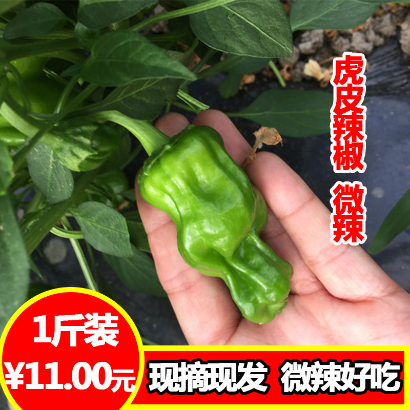 新鲜蔬菜 农家自种虎皮辣椒 薄皮辣椒 香辣椒土辣椒早丰在类目 水产肉类/新鲜蔬果/熟食, 新鲜蔬菜/蔬菜制品, 新鲜蔬菜, 其它中 - 来自Buy2taobao.com提供专业的淘宝代购服务