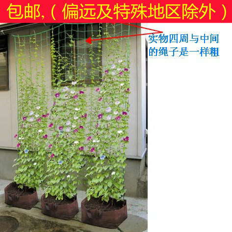 加粗30股線 園藝網 瓜果牽牛花攀援花卉爬藤網在類目 鮮花速遞/花卉仿真/綠植園藝, 園藝用品, 其它園藝用品中 - 來自Buy2taobao.com提供專業的淘寶代購服務