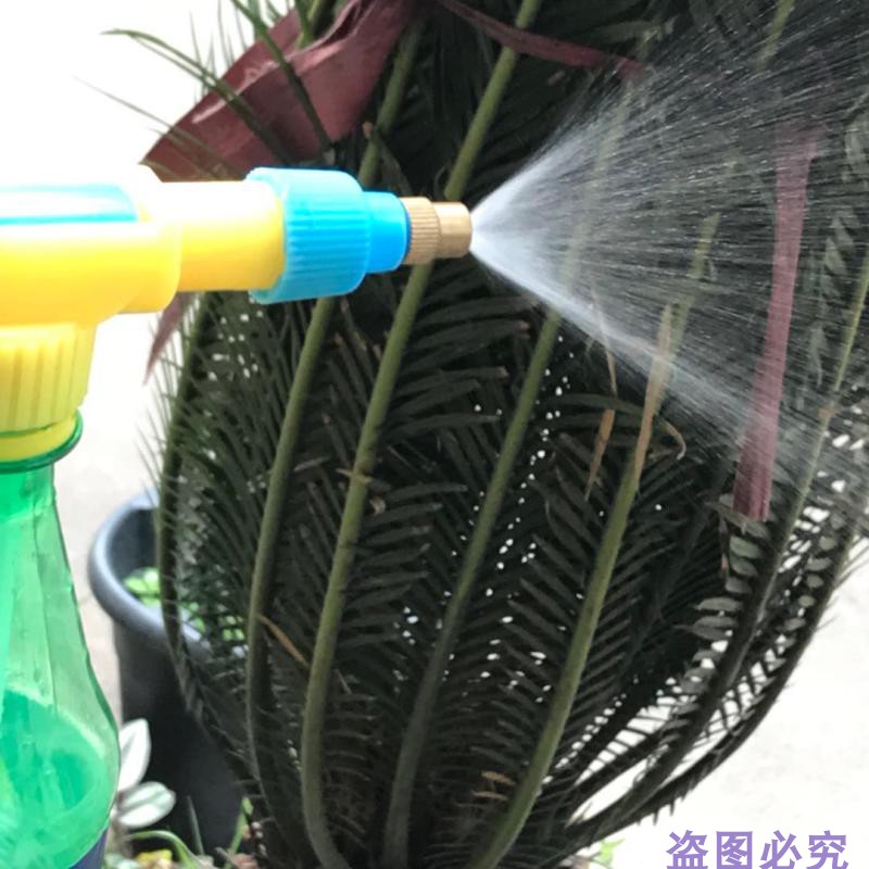 courtyard gardening Rod Pressure sprayer Showerhead Copper head (Free Sprite bottle)in the Flower delivery/Flowers simulation/Plants gardening , Gardening supplies , Weipen/Drip/Fittings , Atomization Weipen/Drip irrigation equipment category - from Buy2taobao.com to provide professional Taobao agent buy service