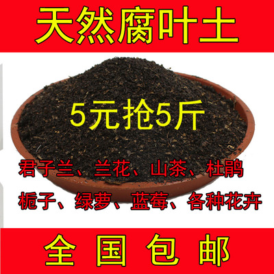 松针腐叶土腐熟养花橡树叶腐殖土天然君子兰营养土专用通用型包邮