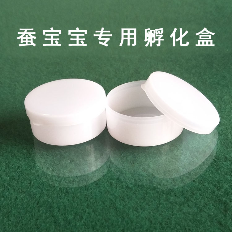 Silkworm Silkworm Silkworm eggs Silkworm egg Special aseptic white Portable Belt Incubation Boxin the Pet/Pet food and supplies , Reptile/Insects and supplies Ming , Silkworm category - from Buy2taobao.com to provide professional Taobao agent buy service