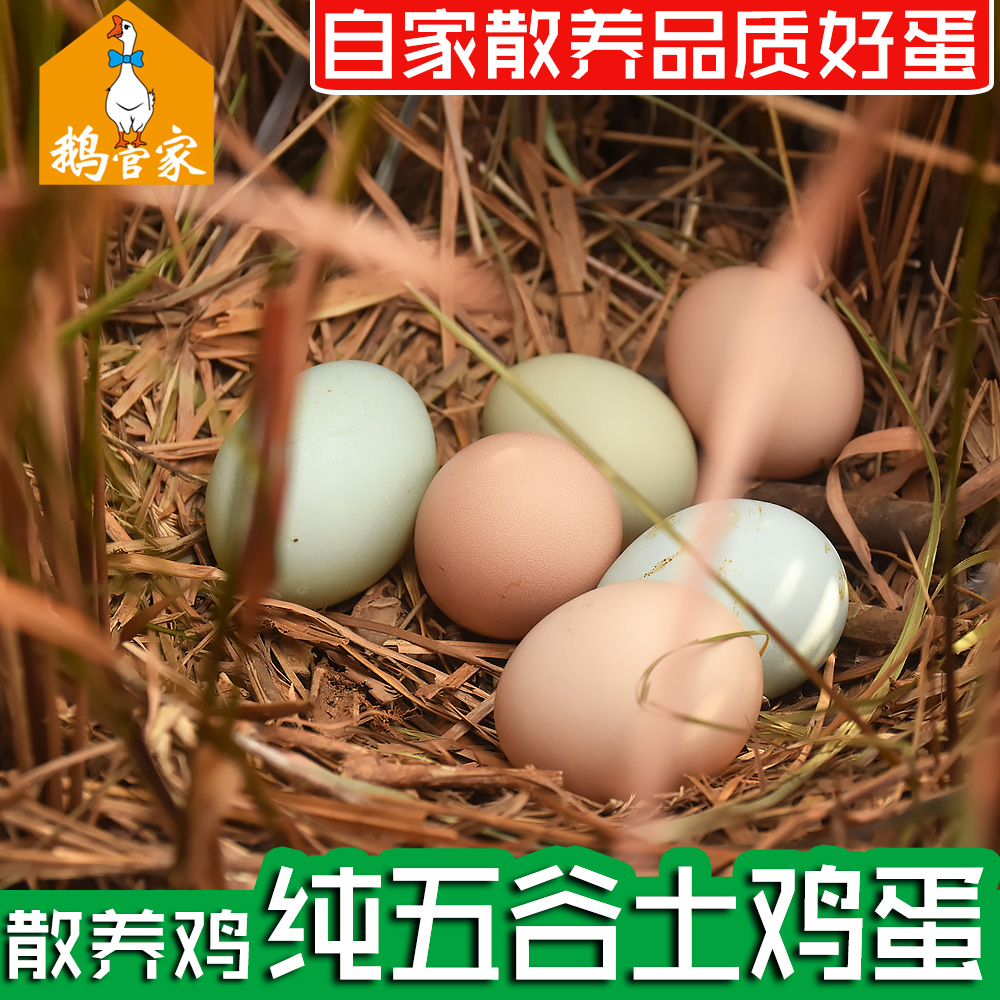 30 Jiangxi Province Home Backyard fresh free range eggs Countryside Farm free range eggs Grass eggs Field Stupid Eggsin the Aquatic meat/Fresh fruits and vegetables/Cooked , Egg/Egg Products , Fresh eggs , Eggs category - from Buy2taobao.com to provide professional Taobao agent buy service