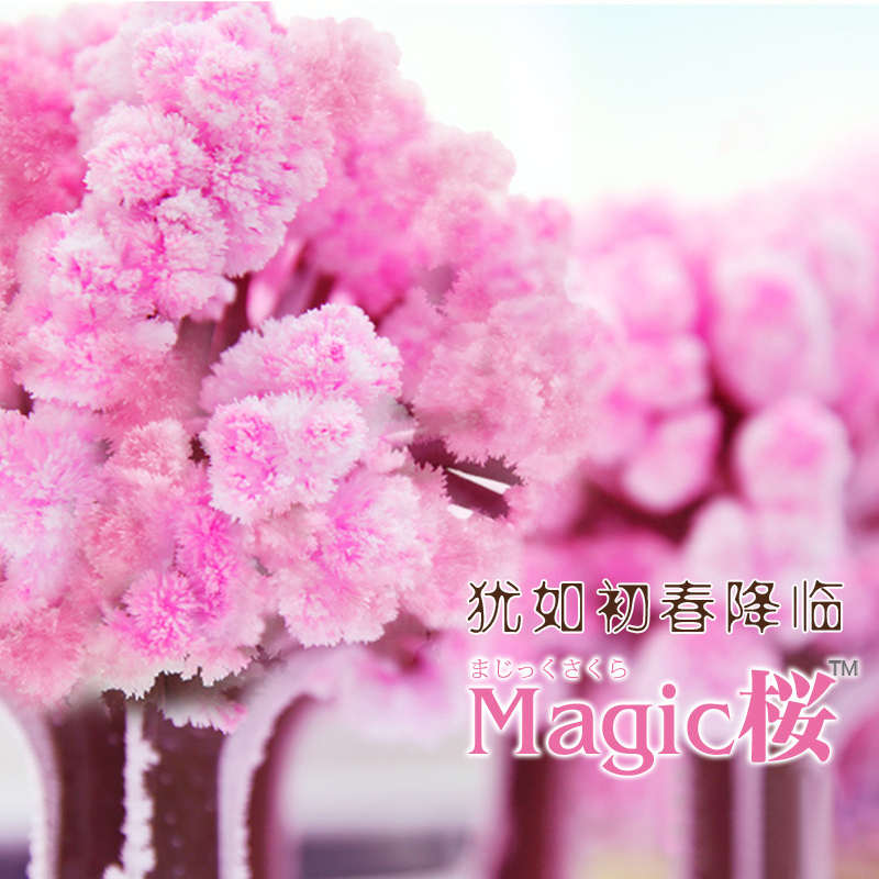 日本进口自种魔法树大号樱花树永生花保鲜花DIY客厅摆件节日礼物|ruв категории доставка цветов/цветок моделирования/растения садоводства, искусственные цветы/растения/фрукты и овощи готовой продукции (новая), искусственные цветы - от Buy2taobao.com для оказания профессиональной услуги покупки агента Taobao