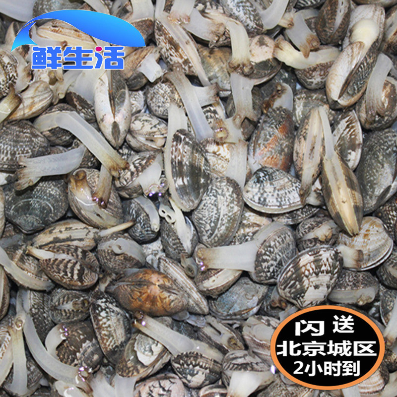 鲜活海鲜水产鲜活贝类文蛤 蛤蜊 花蛤 蛤蜊 黄蚬子个大肥满超美味在类目 水产肉类/新鲜蔬果/熟食, 海鲜/水产品/制品, 贝类, 贝类制品中 - 来自Buy2taobao.com提供专业的淘宝代购服务
