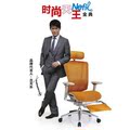 Ergonor时尚天王Nefil金典豪华版电脑椅/工学椅/躺椅/躺舒宝/实体