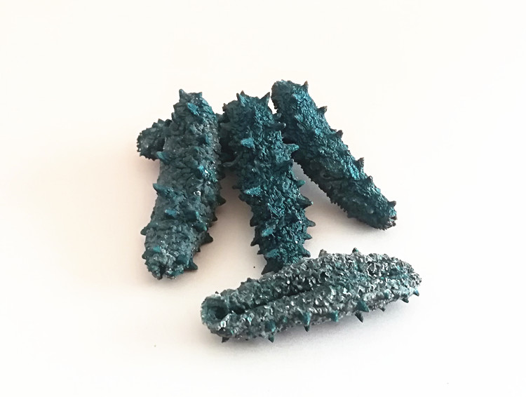 华宴堂3.9辽宁大连干货小海参一件5只辽刺参海鲜非即食酒店自用在类目 水产肉类/新鲜蔬果/熟食, 海鲜/水产品/制品, 海参中 - 来自Buy2taobao.com提供专业的淘宝代购服务