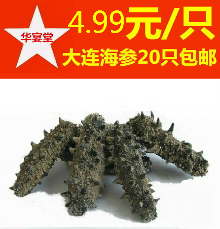 華宴堂遼甯大連小海參幹貨刺參1件5只包郵在類目 水產肉類/新鮮蔬果/熟食, 海鮮/水產品/製品, 海蔘中 - 來自Buy2taobao.com提供專業的淘寶代購服務