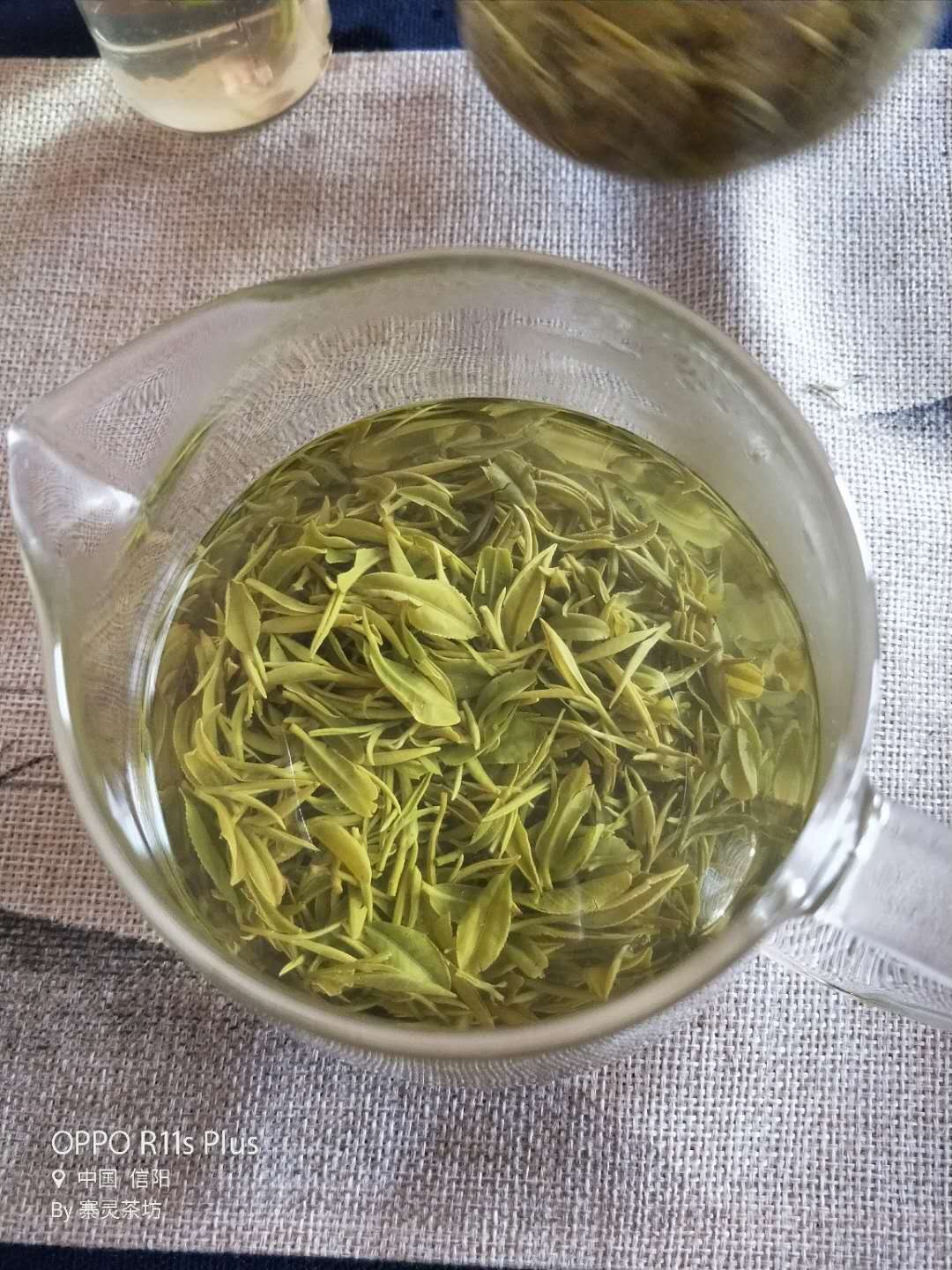 2019年新茶信陽毛尖雨前早期半手工雞公山寨靈寺半斤裝12號發貨在類目 茶, 綠茶(新), 信陽毛尖中 - 來自Buy2taobao.com提供專業的淘寶代購服務