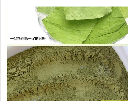 包邮 纯荷叶粉1000g 天然纯粉正品 纯荷叶食用粉面膜在类目 咖啡/麦片/冲饮, 天然粉粉食品中 - 来自Buy2taobao.com提供专业的淘宝代购服务