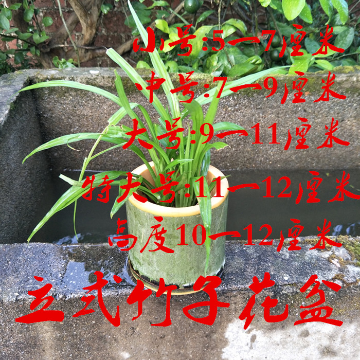 壁挂竹子花盆个性复古创意手工环保花盆悬挂多肉花盆竹筒花盆盆栽在类目 家居饰品, 花瓶/花器/仿真花/仿真饰品, 花器/花瓶, 花盆中 - 来自Buy2taobao.com提供专业的淘宝代购服务