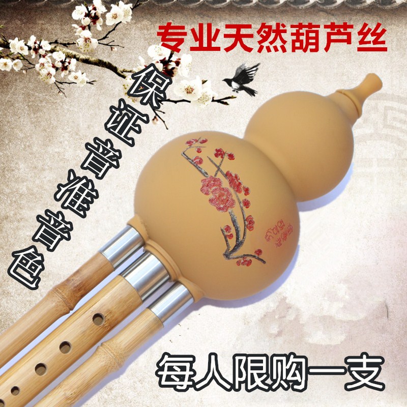 葫芦丝乐器c调降b调儿童初学者入门成人中小学生零基础自学胡芦丝在类目 乐器/吉他/钢琴/配件, 民族乐器, 民族吹奏乐器, 葫芦丝中 - 来自Buy2taobao.com提供专业的淘宝代购服务