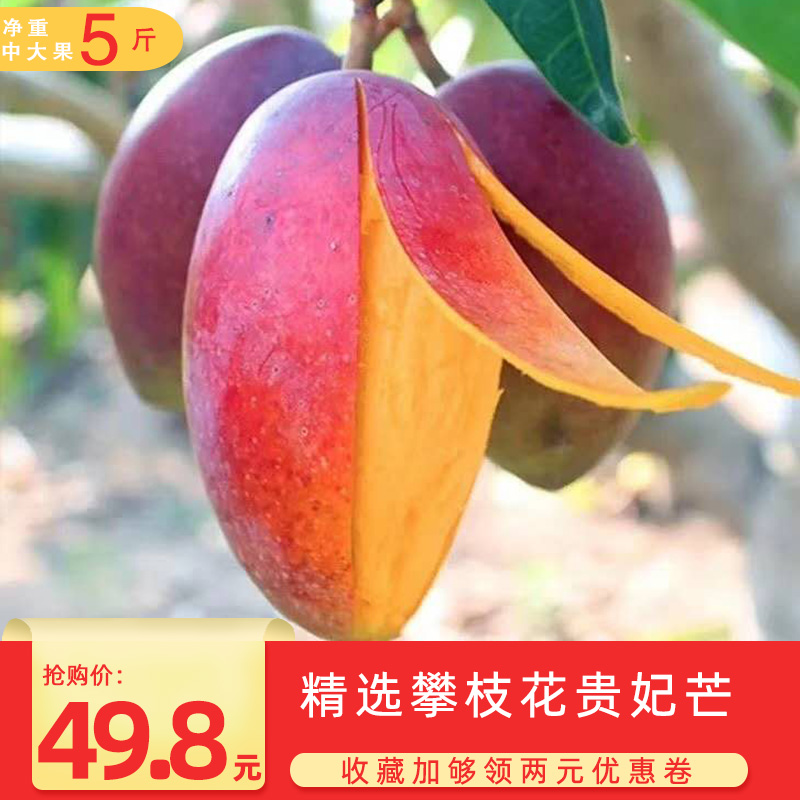 攀枝花贵妃芒果 当季新鲜 时令超甜 非凯特芒非海南贵妃5斤|ruв категории водной мясо/свежие фрукты и овощи/еда, свежие фрукты, манго - от Buy2taobao.com для оказания профессиональной услуги покупки агента Taobao