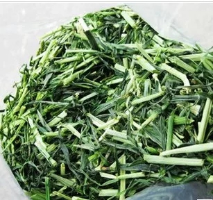 大麦草段干草兔子荷兰猪食物龙猫豚鼠食物草活物活体饲料兔子牧草在类目 宠物/宠物食品及用品, 兔类及其用品, 兔兔干草中 - 来自Buy2taobao.com提供专业的淘宝代购服务