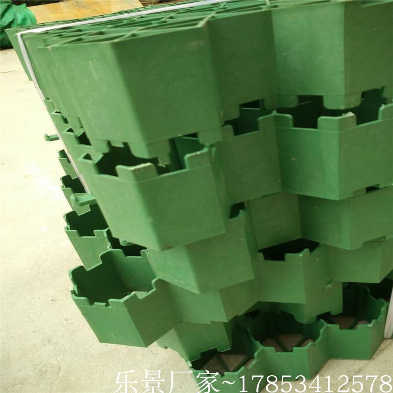 Produce supply Parking fire control passageway Steep hill green Grass planting grid 3.8 a centimeter Grass planting grid Manufactor Lawn latticein the Flower delivery/Flowers simulation/Plants gardening , Gardening supplies , Other Garden Supplies category - from Buy2taobao.com to provide professional Taobao agent buy service