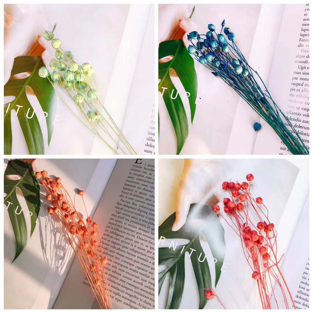 Zoe Rich beans Dried flowers natural dyeing Spend eternity Material Science Flower material Love pea shot prop diyin the Flower delivery/Flowers simulation/Plants gardening , Artificial flowers/Plants/Finished fruits and vegetables (New) , Artificial flowers category - from Buy2taobao.com to provide professional Taobao agent buy service