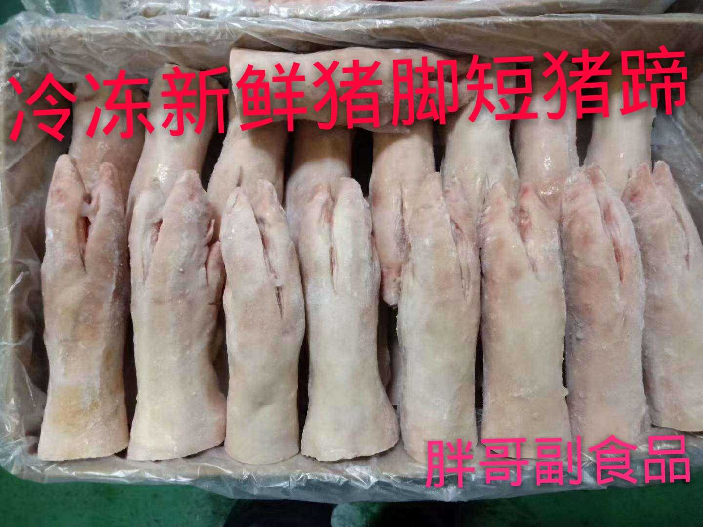 冷冻新鲜 猪蹄 猪脚 短猪爪 二十七斤净重无冰江浙沪皖地区包邮在类目 水产肉类/新鲜蔬果/熟食, 生肉/肉制品, 猪肉类, 生猪肉中 - 来自Buy2taobao.com提供专业的淘宝代购服务