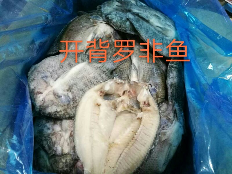 Freezing fresh Open back Tilapia Crucian carp 500 about One 25 1in the Aquatic meat/Fresh fruits and vegetables/Cooked , Seafood/Aquatic/Product , Freshwater Fish category - from Buy2taobao.com to provide professional Taobao agent buy service