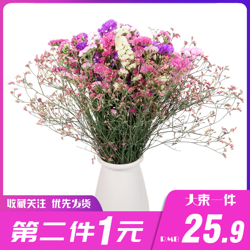 云南勿忘我干花大束水晶草家居摆设小清新装饰鲜花真花束摆件四色|ruв категории Домашний быт, ваза/цветок/искусственные цветы/моделирование украшения, сушеные цветы/лепесток/сушеные цветы пакет/сухие ветки - от Buy2taobao.com для оказания профессиональной услуги покупки агента Taobao