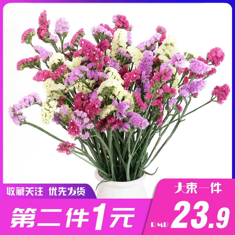 云南干花大束勿忘我家居摆设小清新装饰鲜花真花干花束摆件三色|ruв категории Домашний быт, ваза/цветок/искусственные цветы/моделирование украшения, сушеные цветы/лепесток/сушеные цветы пакет/сухие ветки - от Buy2taobao.com для оказания профессиональной услуги покупки агента Taobao