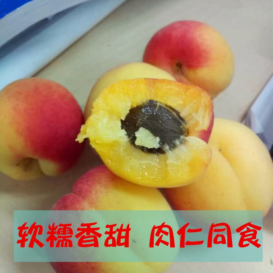 杏子新鲜水果山西红杏甜杏甜仁杏红梅杏当季现摘非大黄杏5斤孕妇在类目 水产肉类/新鲜蔬果/熟食, 新鲜水果, 其它中 - 来自Buy2taobao.com提供专业的淘宝代购服务