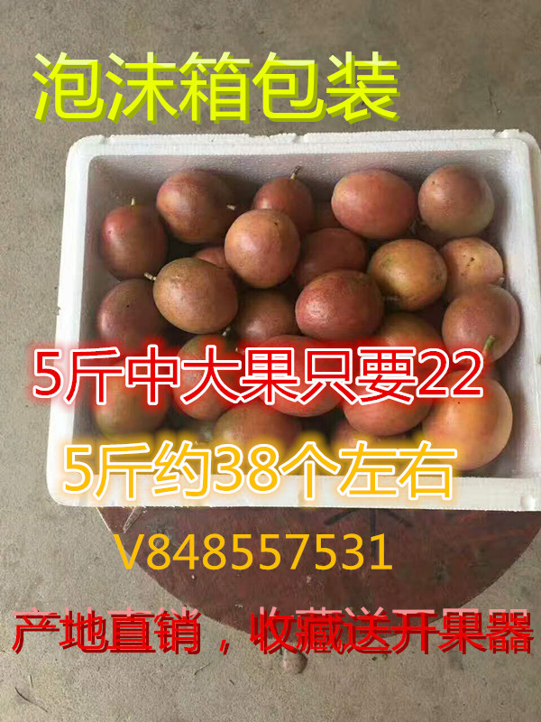 广西农家百香果现摘广西新鲜中大果西番莲38个左右酸爽多汁在类目 水产肉类/新鲜蔬果/熟食, 新鲜水果, 百香果中 - 来自Buy2taobao.com提供专业的淘宝代购服务