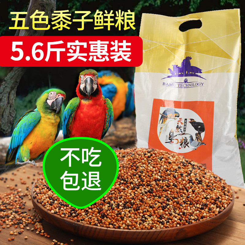 五色黍子五谷鸟粮虎皮玄凤牡丹小太阳和尚粮食文鸟芙蓉鸟仓鼠粮食在类目 宠物/宠物食品及用品, 鸟类及用品, 鸟食中 - 来自Buy2taobao.com提供专业的淘宝代购服务