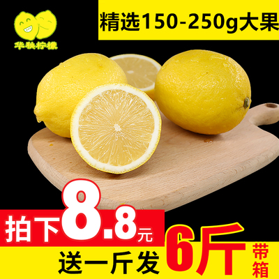 华秧安岳黄柠檬5斤当季新鲜水果一级皮薄大果应季青柠檬批发包邮