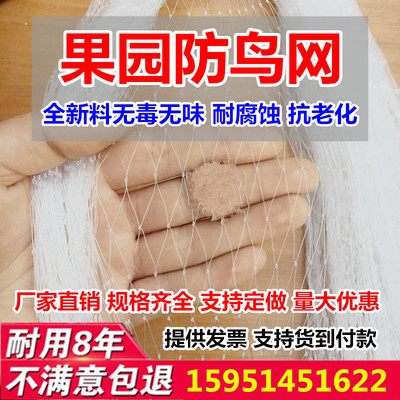 防鸟网枸杞樱桃葡萄果树果园防鸟网天网泥鳅鱼塘防护尼龙网养殖网