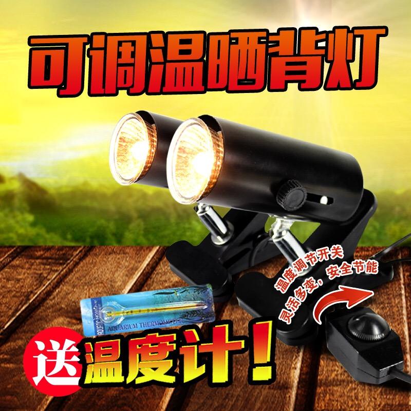爬蟲加熱燈烏龜曬背燈龜缸全光譜UVA+UVB3.0太陽燈/燈架套裝在類目 寵物/寵物食品及用品, 爬蟲/鳴蟲及其用品, 爬蟲/鳴蟲用具中 - 來自Buy2taobao.com提供專業的淘寶代購服務