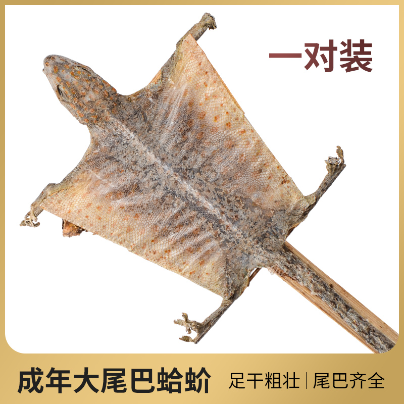三娇蛤蚧干 一对装广西2只装整只男性泡酒料原料滋补 蛤蚧干货|msdalam kategori makanan berkhasiat tradisional, Lain tonik tradisional, Lain tonik tradisional - dari Buy2taobao.com untuk memberikan perkhidmatan ejen Taobao profesional membeli