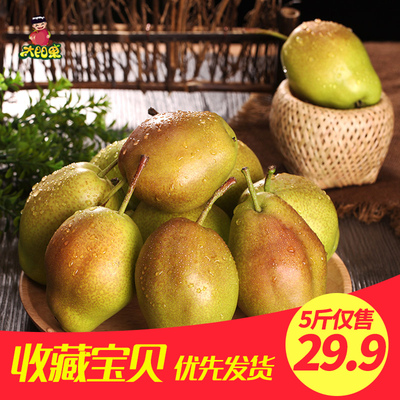 【买1送1共5斤】太阳果 大荔香梨新鲜水果包邮梨子非新疆库尔勒
