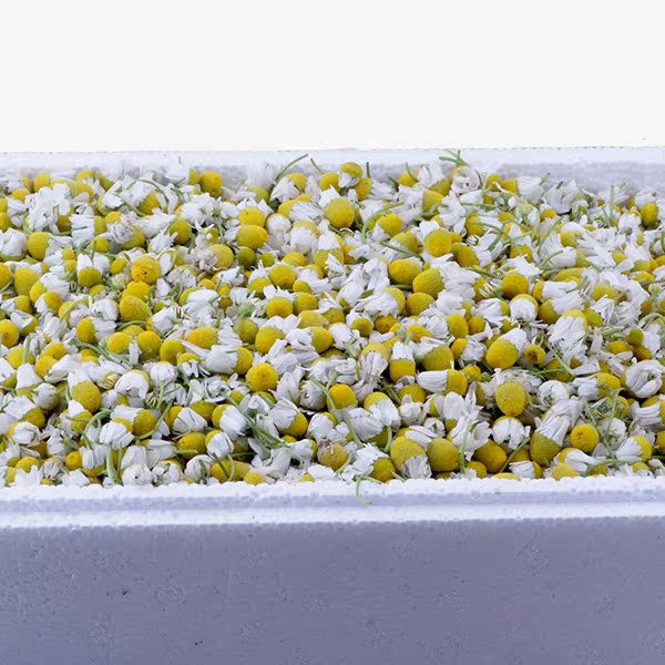 2017 Blue group Rome Chamomile flower Preganglionic discount kg . Ecological planting Manyin the Aquatic meat/Fresh fruits and vegetables/Cooked , Fresh vegetables/Vegetable products , Fresh vegetables , Other category - from Buy2taobao.com to provide professional Taobao agent buy service