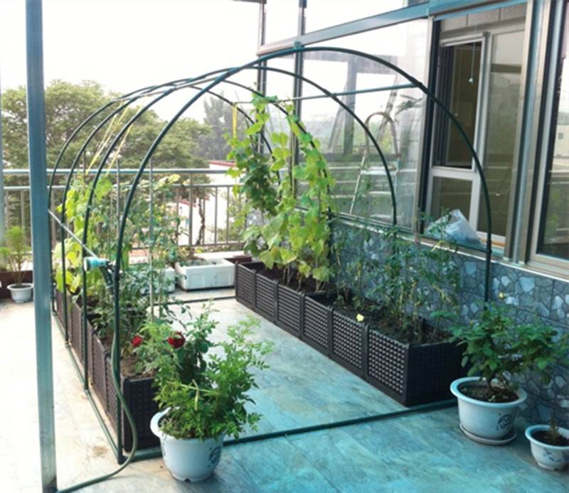 花卉藤架爬藤架瓜棚铁线莲天台花园装饰用品铁艺爬架种植箱造型|msdalam kategori penghantaran bunga/bunga simulasi/tumbuhan berkebun, Gardening Supplies, Peralatan Perkebunan lain - dari Buy2taobao.com untuk memberikan perkhidmatan ejen Taobao profesional membeli