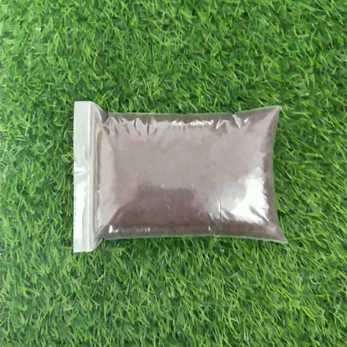 独角仙 长戟 毛象 南洋 锹甲成虫 甲虫宠物造景垫材|msdalam kategori haiwan peliharaan/makanan haiwan dan bekalan, Reptilia/Serangga dan bekalan Ming, Reptilia/Peralatan serangga Ming - dari Buy2taobao.com untuk memberikan perkhidmatan ejen Taobao profesional membeli
