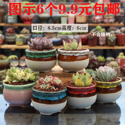 包邮窑变多肉花盆浮雕素烧大口径花盆超值粗陶特价盆大号老桩花盆