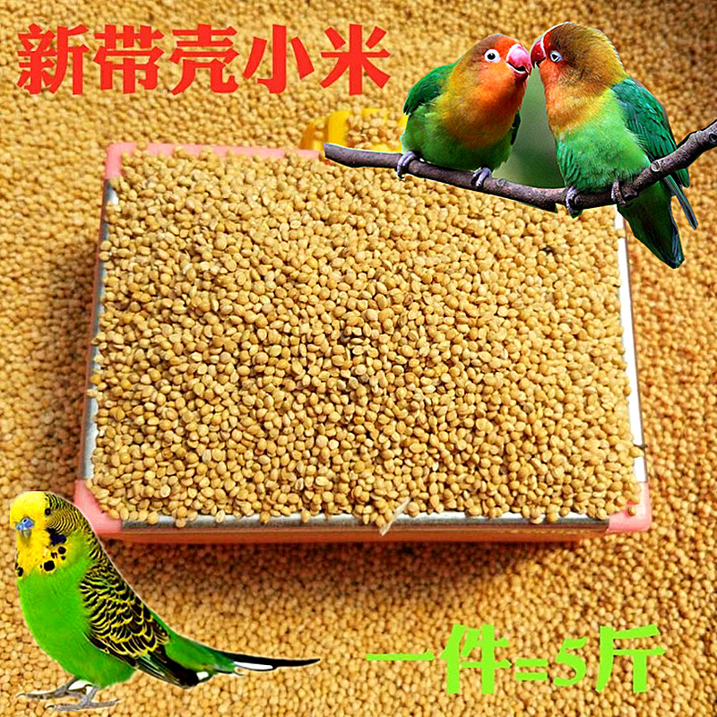 黄谷子带壳小米鸟粮虎皮牡丹玄风鹦鹉鸟食珍珠文鸟饲料包邮5斤在类目 宠物/宠物食品及用品, 鸟类及用品, 鸟食中 - 来自Buy2taobao.com提供专业的淘宝代购服务