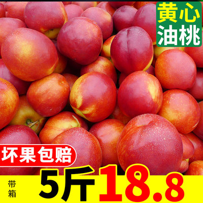 油桃新鲜水果5斤带箱包邮现货黄心桃子当季整箱直批现摘应季蜜桃