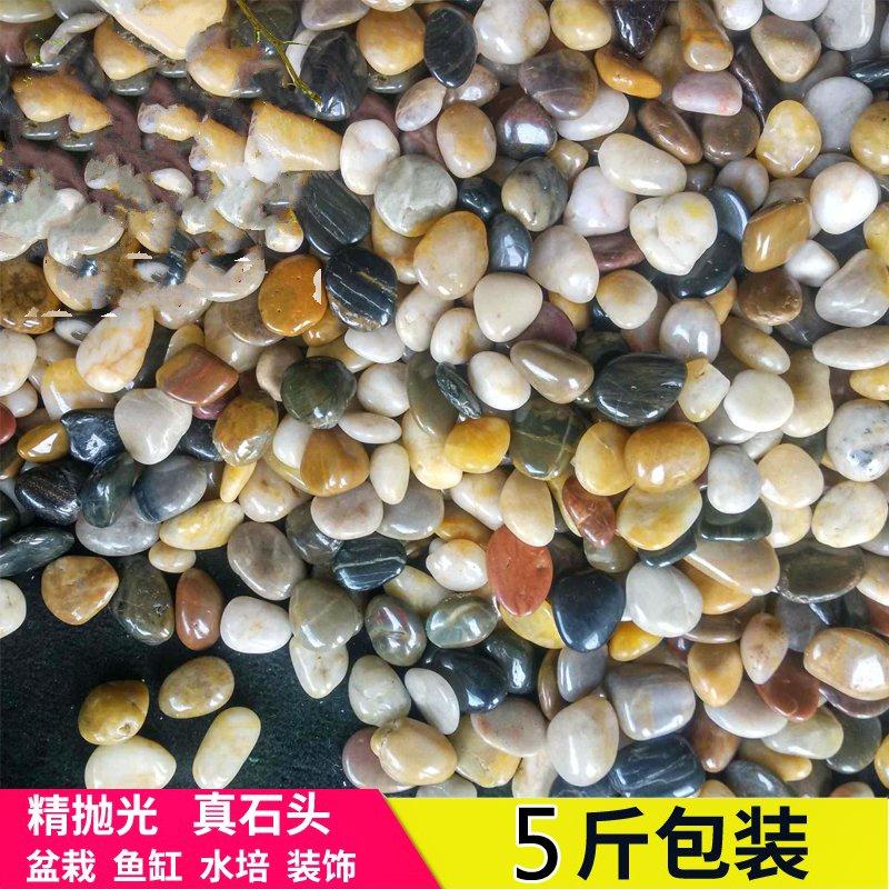 园艺彩色小石子 彩石浴缸装饰多肉盆栽摆件七彩石头水培植物固定在类目 鲜花速递/花卉仿真/绿植园艺, 园艺用品, 其它园艺用品中 - 来自Buy2taobao.com提供专业的淘宝代购服务