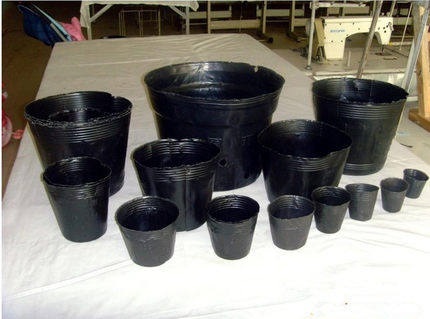多肉植物盆种植育苗温室树苗塑料碗芽袋豆芽种菜插盘籽家用苗木在类目 鲜花速递/花卉仿真/绿植园艺, 园艺用品, 育苗盘/营养钵中 - 来自Buy2taobao.com提供专业的淘宝代购服务